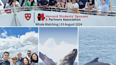 HSSPA Whale Watching 2024