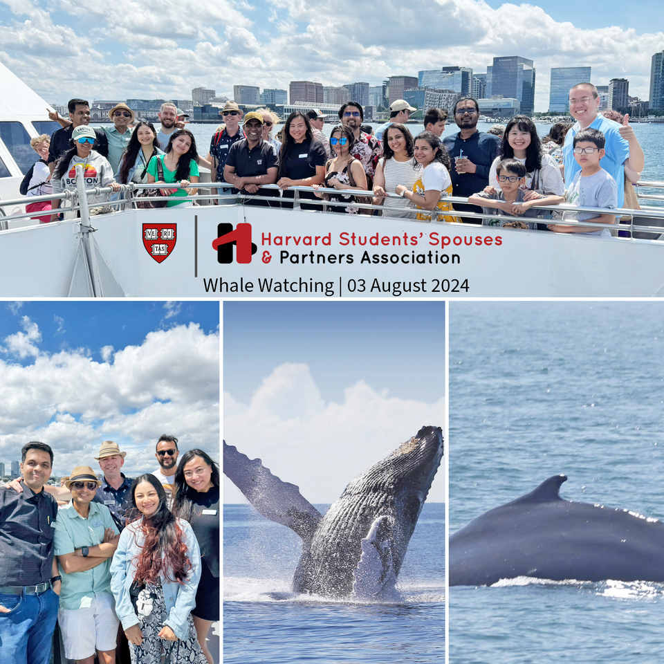 HSSPA Whale Watching 2024